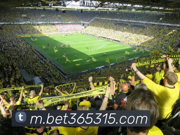 bet365中国官网APP 封面图